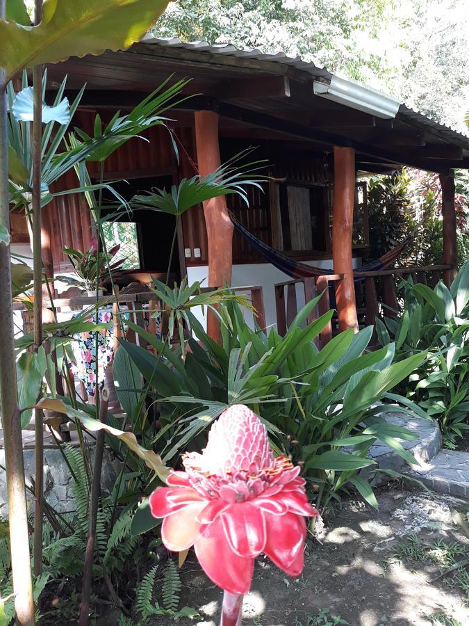 Inn Cabinas Nirvana Ecolodge Cahuita