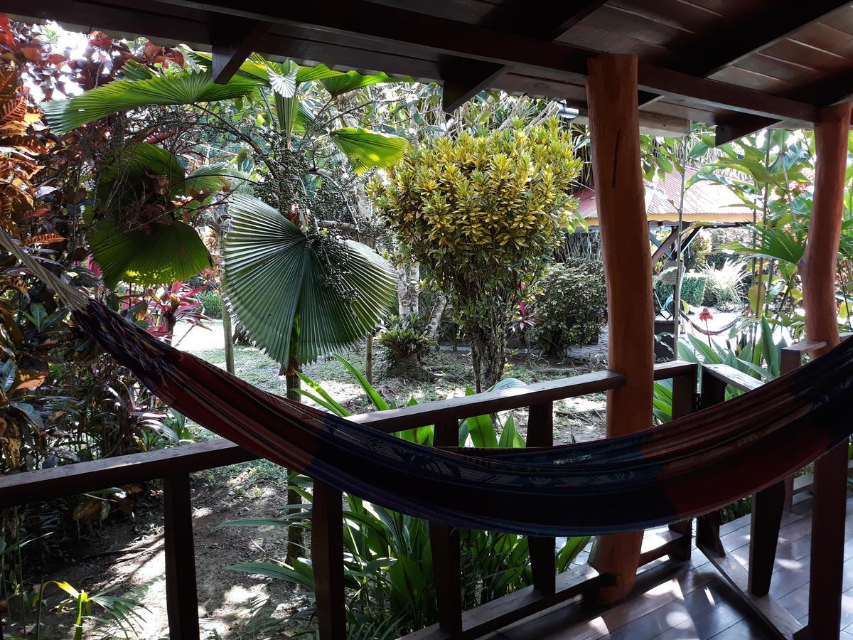 Inn Cabinas Nirvana Ecolodge
