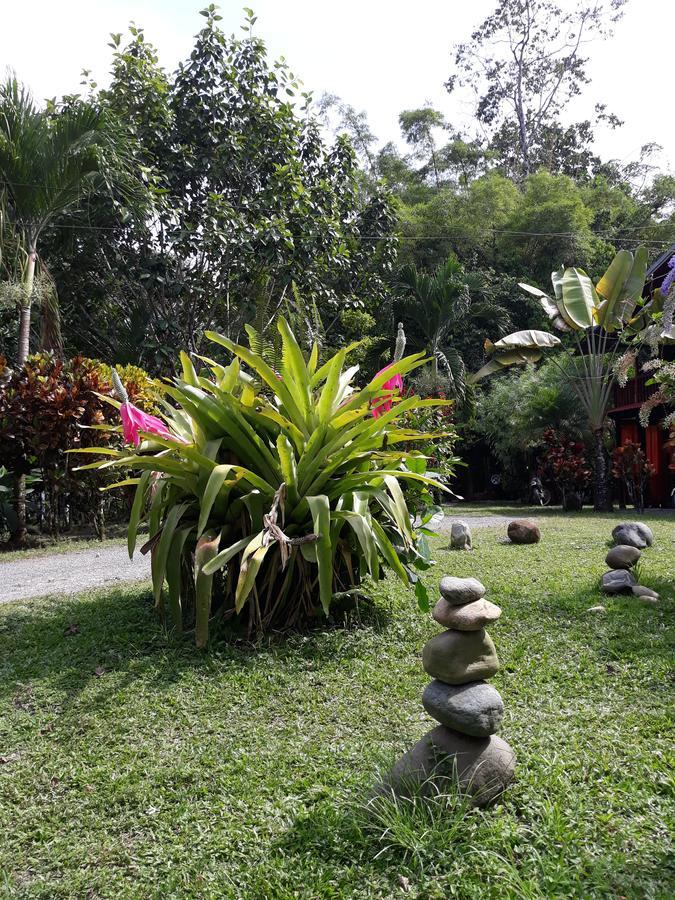 Inn Cabinas Nirvana Ecolodge 3*