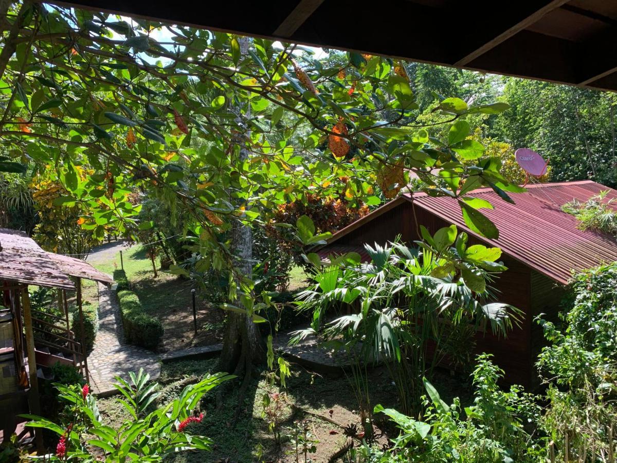 Cabinas Nirvana Ecolodge 3* Cahuita